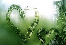 孝义天涯社区：邻里互爱，大家庭的感觉