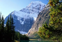 婆媳关系论坛天涯社区上，大家热火朝天地讨论着各种矛盾和 fun 故事。