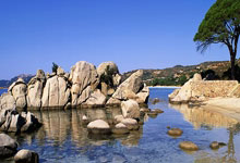 婆媳关系论坛天涯社区上，大家热火朝天地讨论着各种矛盾和 fun 故事。